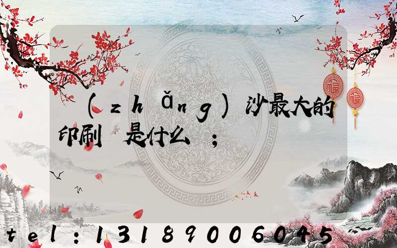 長(zhǎng)沙最大的印刷廠是什么廠