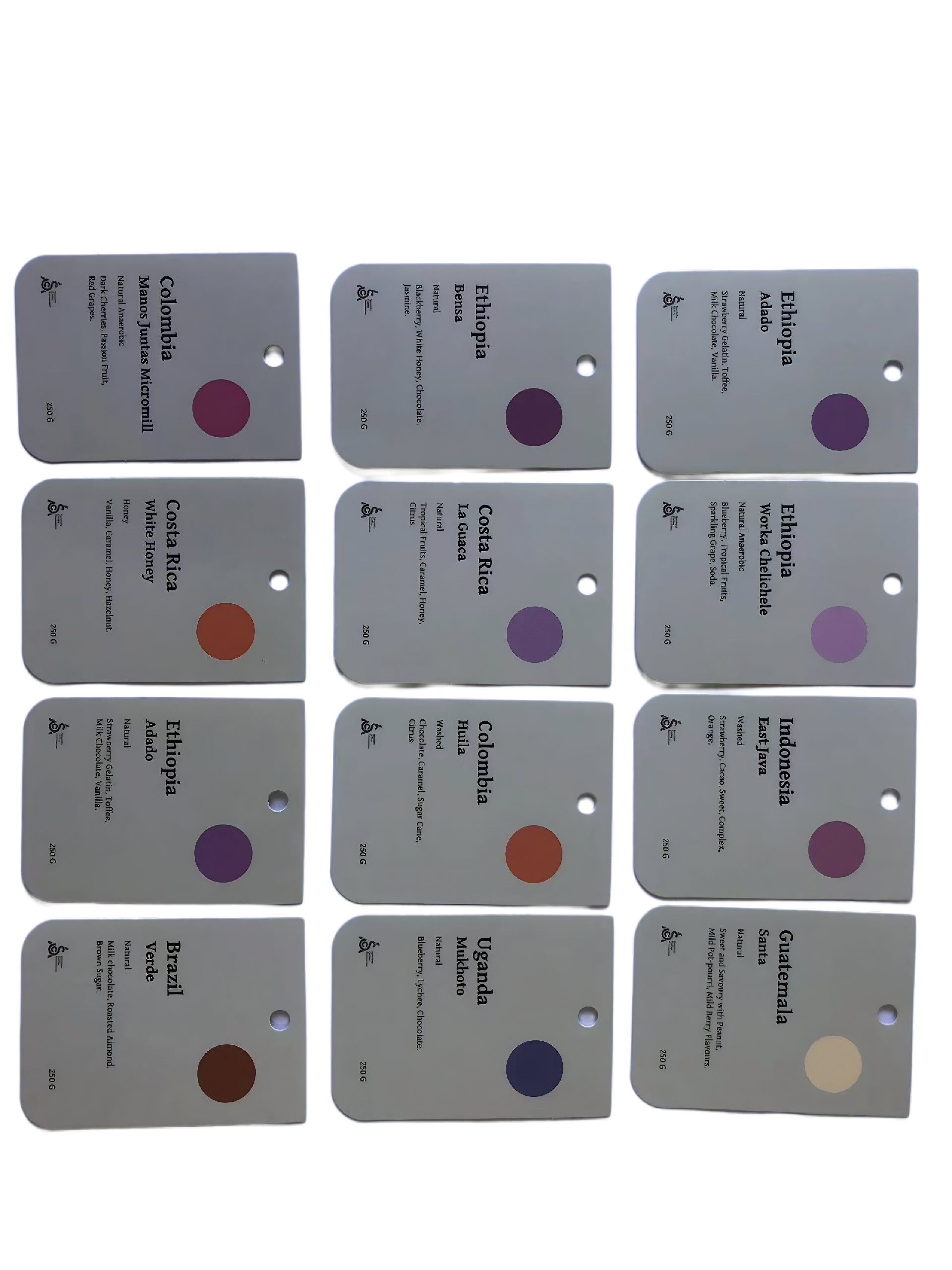 吊牌(打孔 圓角 燙黑金 擊凹).png